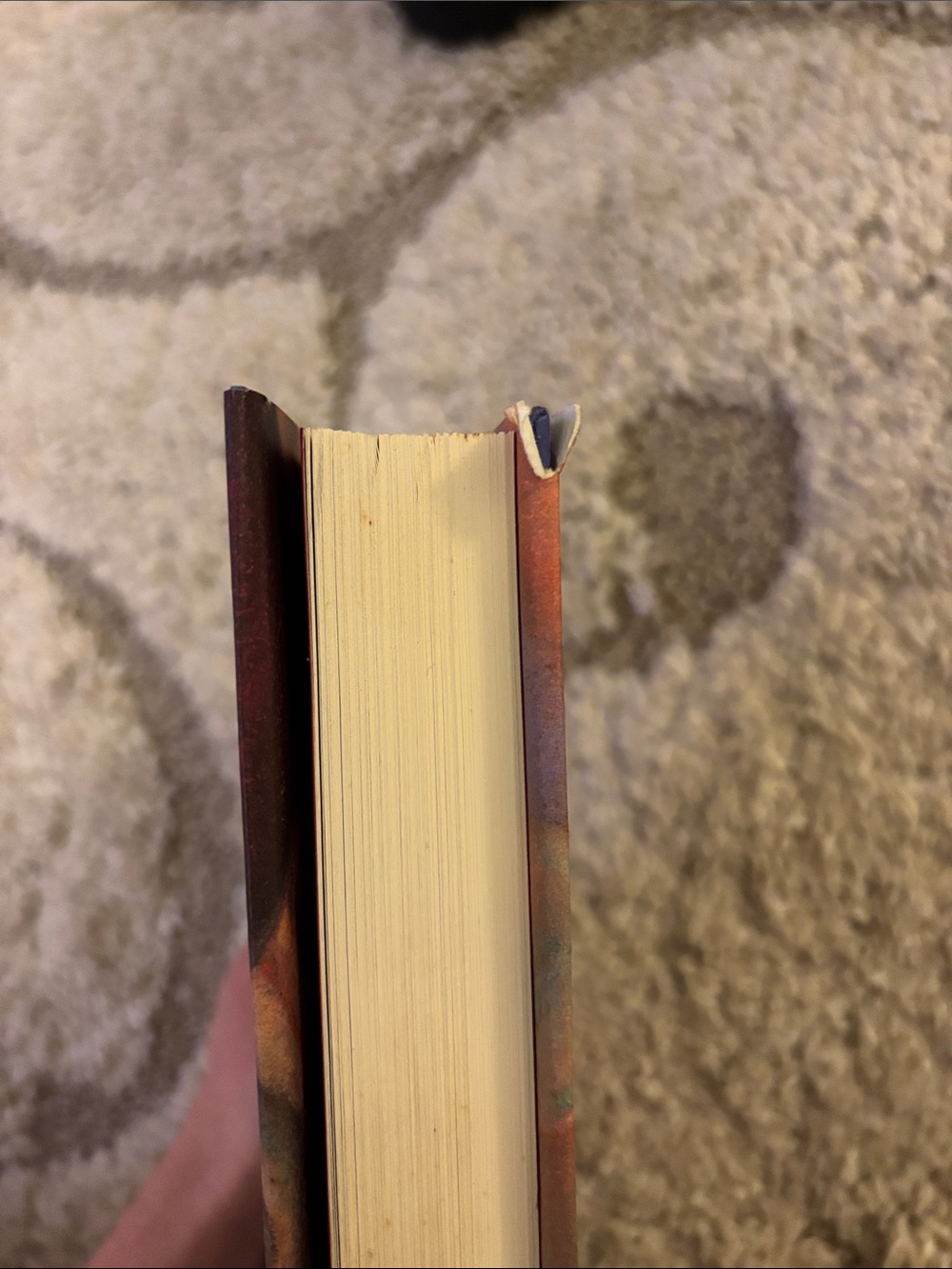 Harry Potter and the Chamber of Secrets Hardcover - Picture 4 of 4